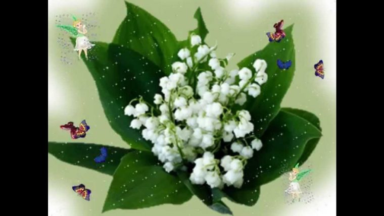 1Er Mai Muguet -Cartes Virtuelles – à Image De Muguet Gratuit