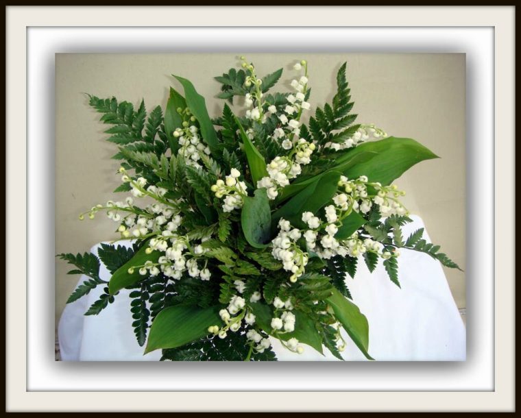 1Er Mai – Un Brin De Muguet Pour Vous Donner Du Bonheur encequiconcerne Image Gratuite Brin De Muguet