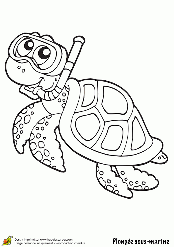 20 Dessins De Coloriage Tortue De Mer À Imprimer dedans Coloriages Tortues Ninja À Imprimer 