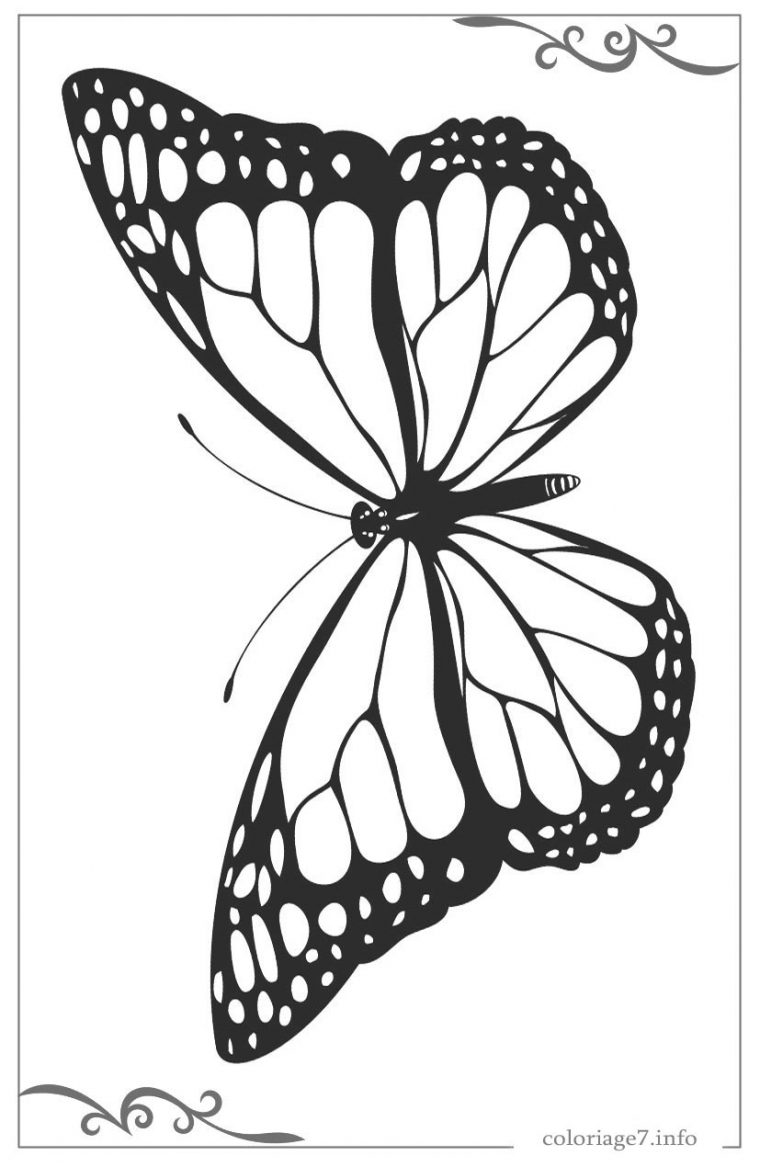 22+ Coloriage A Imprimer Papillon Gif – Malvorlagen Fur destiné Coloriage Gratuit Papillon