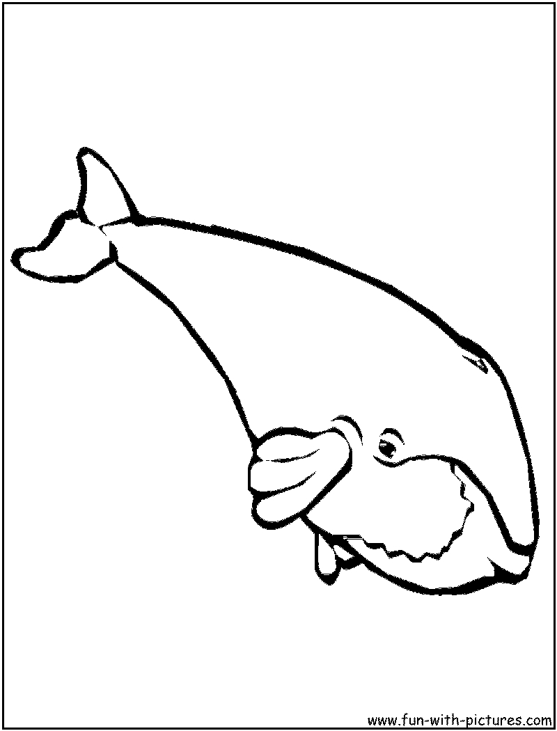 247 Dessins De Coloriage Baleine À Imprimer Sur Laguerche destiné Baleine Coloriage