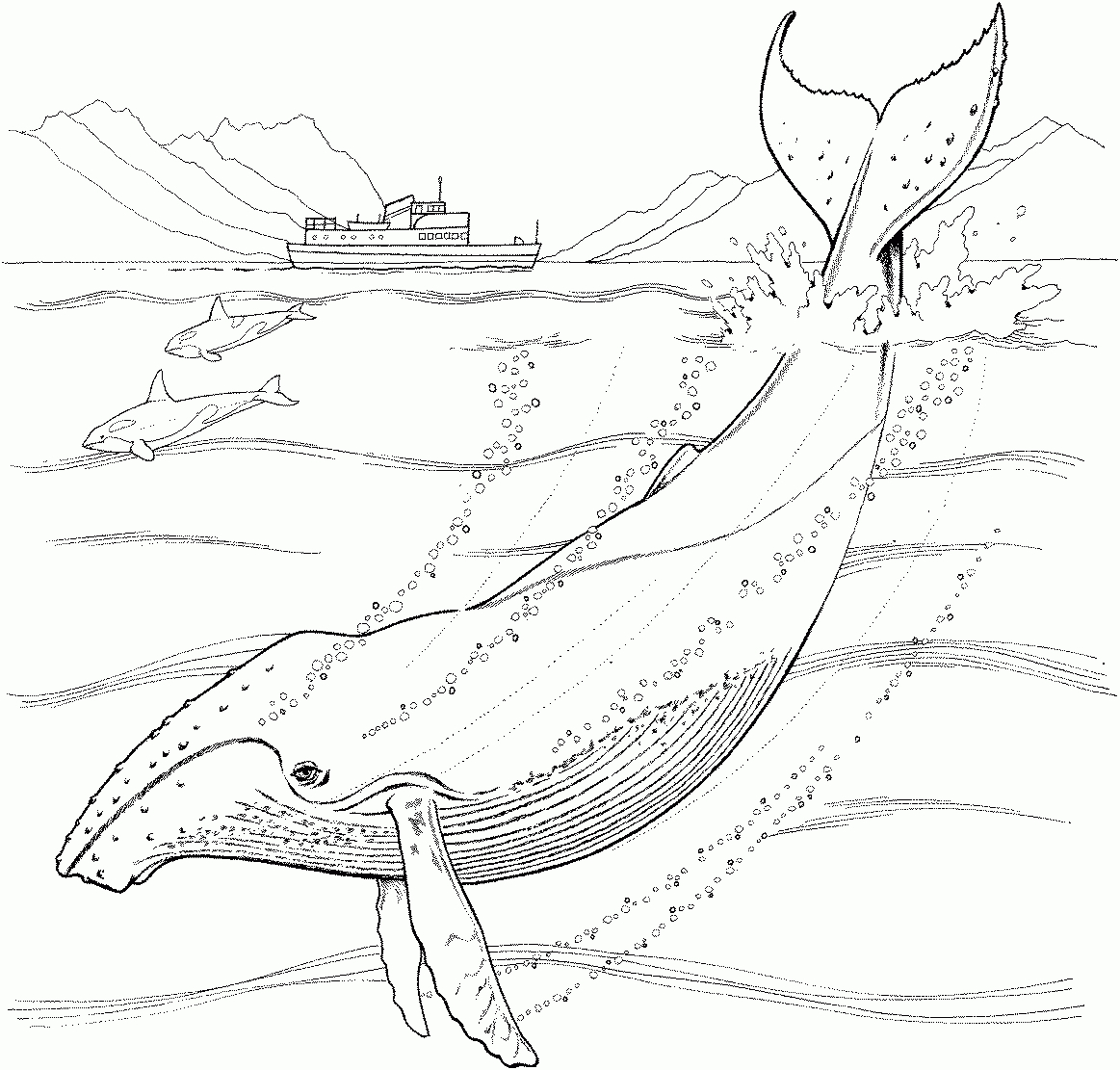 247 Dessins De Coloriage Baleine À Imprimer Sur Laguerche tout Coloriage Baleine 