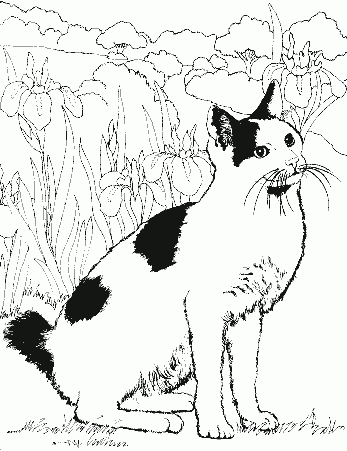 260 Dessins De Coloriage Chat À Imprimer Sur Laguerche concernant Images De Chats A Imprimer 