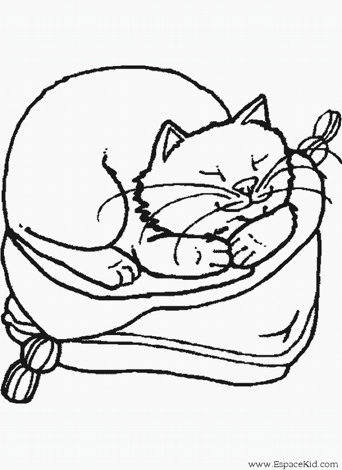 260 Dessins De Coloriage Chat À Imprimer Sur Laguerche destiné Images De Chats A Imprimer 