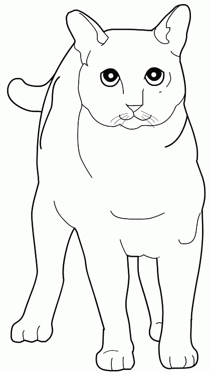 260 Dessins De Coloriage Chat À Imprimer Sur Laguerche intérieur Images De Chats A Imprimer 