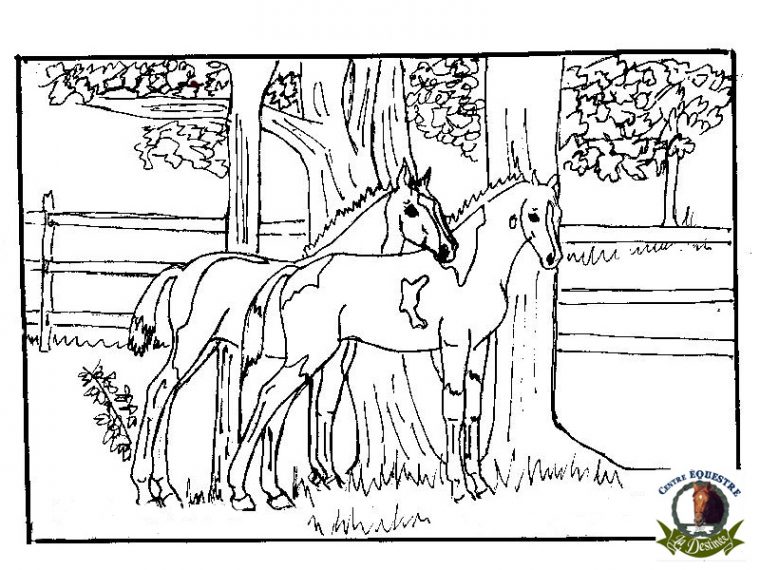 296 Dessins De Coloriage Cheval À Imprimer Sur Laguerche avec Chevaux À Colorier