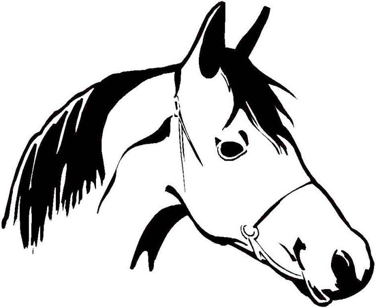 296 Dessins De Coloriage Cheval À Imprimer Sur Laguerche avec Tete De Cheval A Dessiner