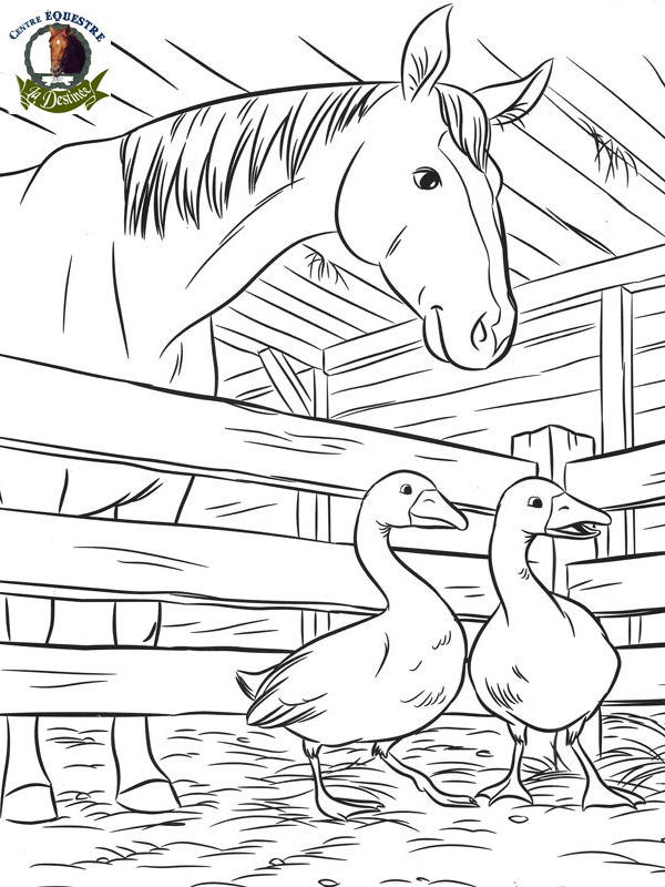 296 Dessins De Coloriage Cheval À Imprimer Sur Laguerche concernant Dessin À Imprimer Gratuit 