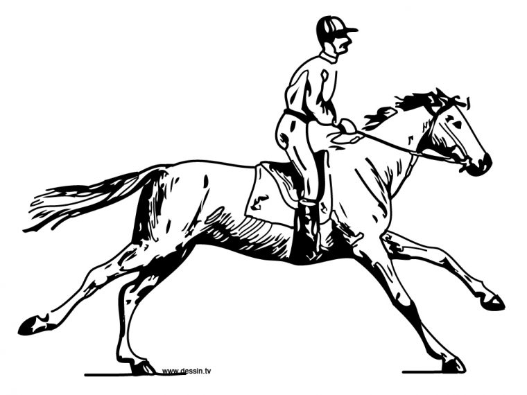 296 Dessins De Coloriage Cheval À Imprimer Sur Laguerche encequiconcerne Cheval A Colorier Et A Imprimer Gratuit