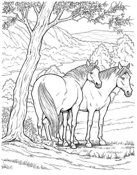 296 Dessins De Coloriage Cheval À Imprimer Sur Laguerche encequiconcerne Chevaux À Colorier 