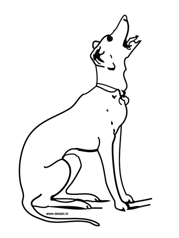 302 Dessins De Coloriage Chien À Imprimer Sur Laguerche pour Image De Chien À Colorier