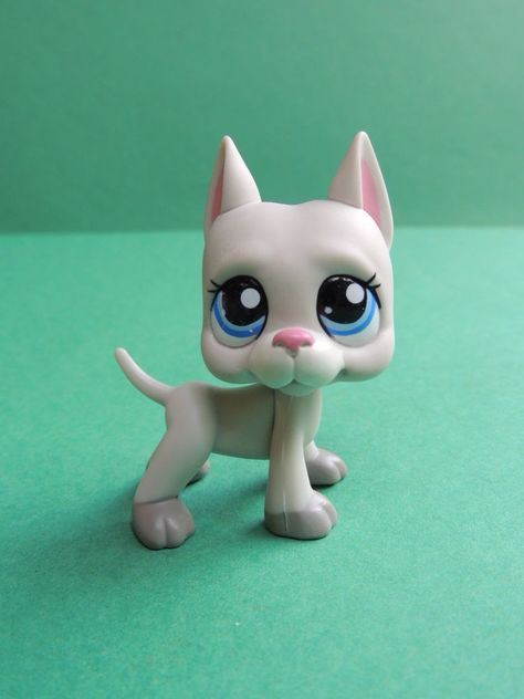 440 Idées De Lps Littlest Petshop - Figurine Pet Shop avec Renard Petshop 