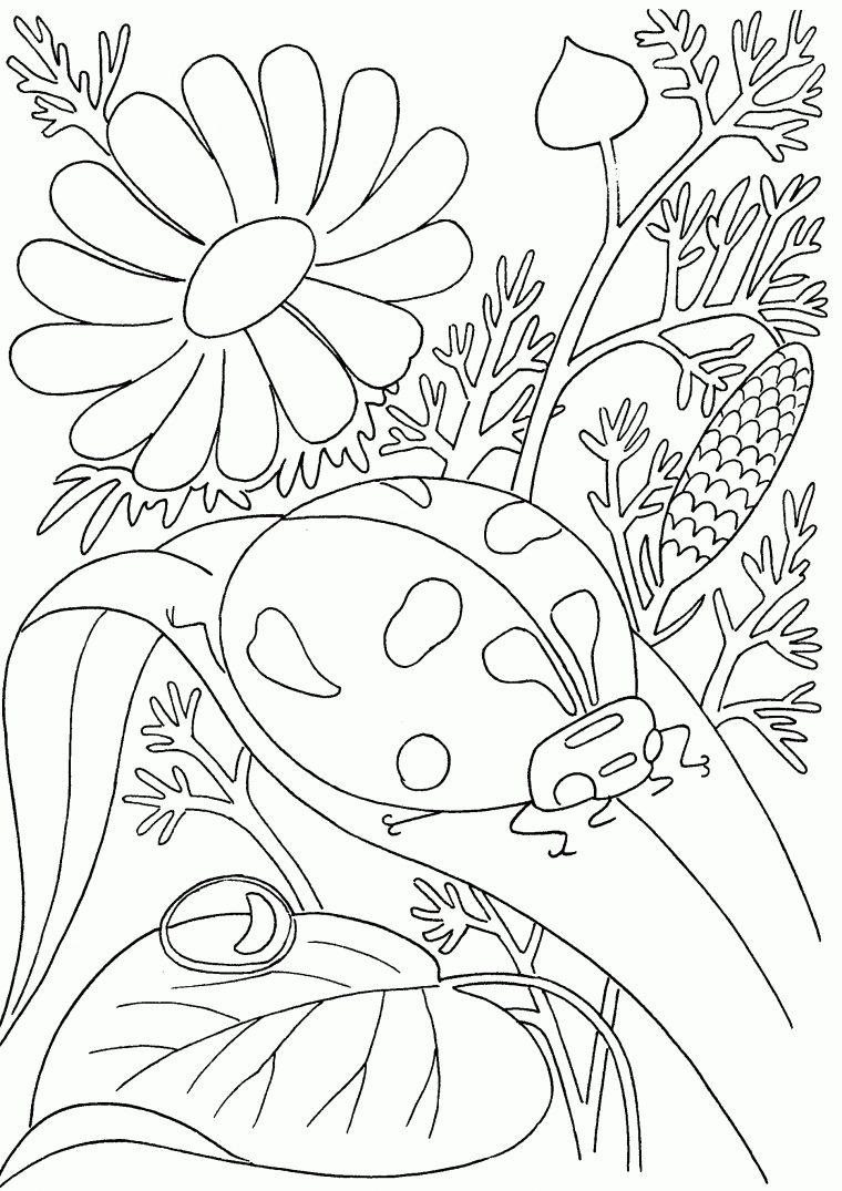 56 Dessins De Coloriage Insecte À Imprimer Sur Laguerche serapportantà Dessin Insectes