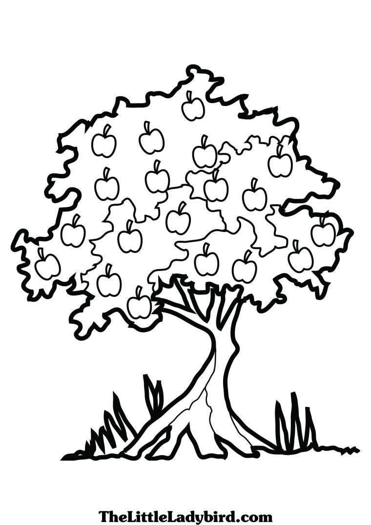 66 Dessins De Coloriage Arbre À Imprimer Sur Laguerche intérieur Dessin Feuille De Vigne A Colorier