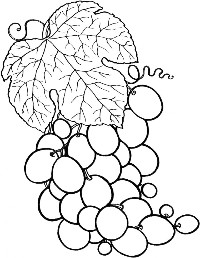 69 Dessins De Coloriage Fruit À Imprimer Sur Laguerche avec Coloriage Fruit