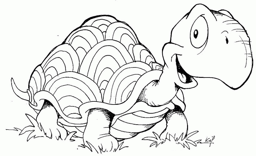 69 Dessins De Coloriage Tortue À Imprimer Sur Laguerche dedans Coloriages Tortues Ninja À Imprimer 