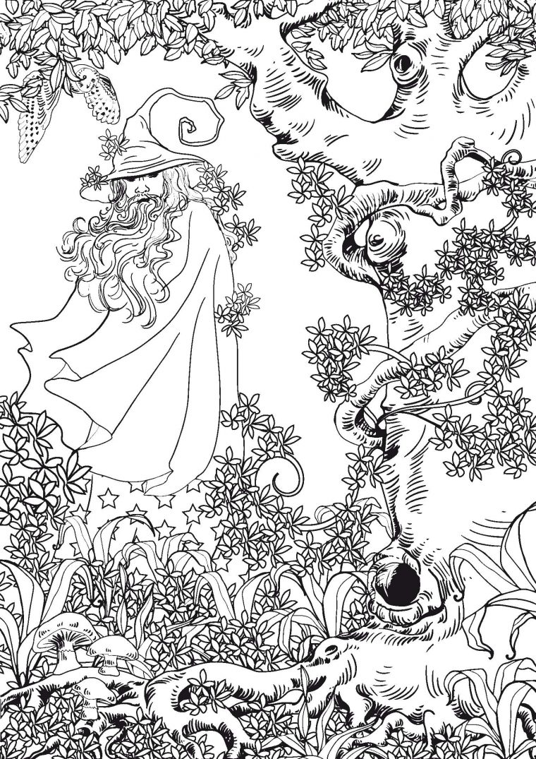 71 Dessins De Coloriage Anti-Stress À Imprimer Sur encequiconcerne Coloriage Forêt À Imprimer