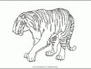 72 Dessins De Coloriage Tigre À Imprimer Sur Laguerche concernant Coloriage Tigre