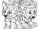 72 Dessins De Coloriage Tigre À Imprimer Sur Laguerche dedans Tigre Coloriage