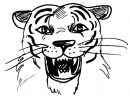 72 Dessins De Coloriage Tigre À Imprimer Sur Laguerche intérieur Comment Dessiner Un Bébé Tigre