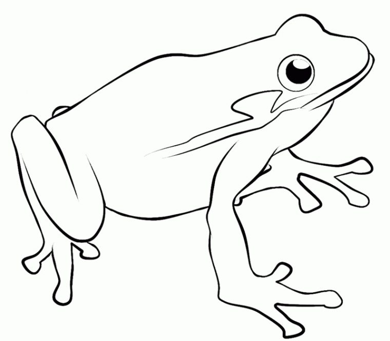 73 Dessins De Coloriage Grenouille À Imprimer Sur à Dessin Grenouille