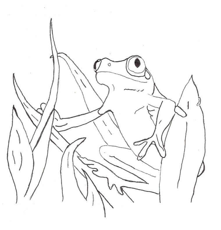 73 Dessins De Coloriage Grenouille À Imprimer Sur dedans Grenouille À Colorier