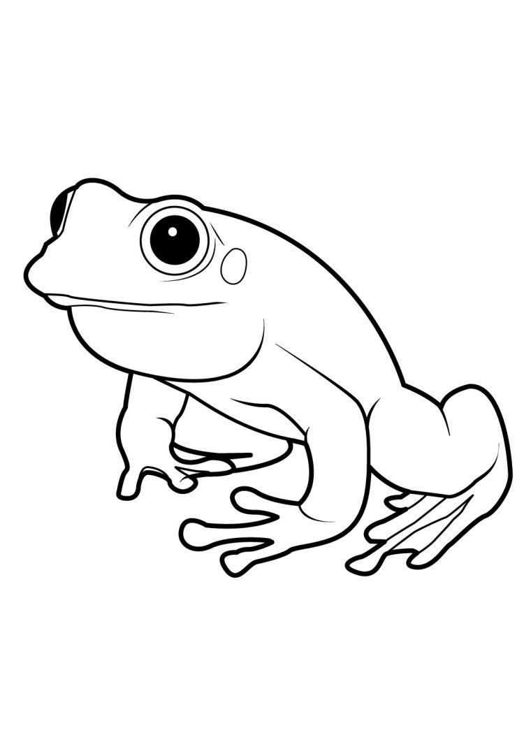 73 Dessins De Coloriage Grenouille À Imprimer Sur tout Imprimer Dessin