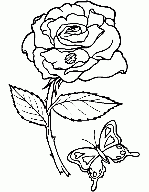 74 Dessins De Coloriage Fleur À Imprimer Sur Laguerche pour Fleur Coloriage A Imprimer 