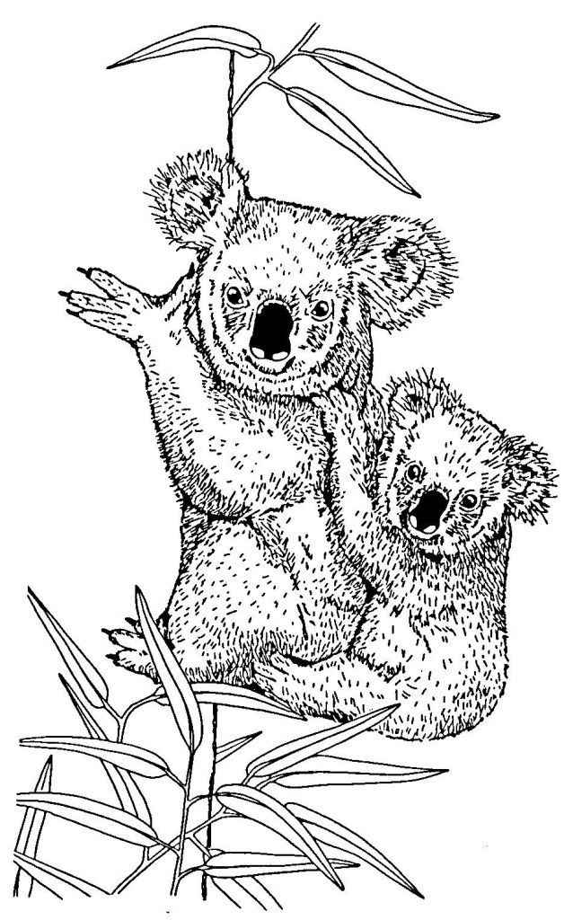 77 Dessins De Coloriage Koala À Imprimer Sur Laguerche tout Coloriage D Animaux Gratuit 