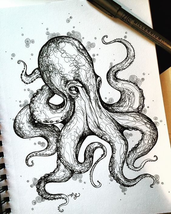 78 Sea Creatures Pencil Drawing Ideas - Art  Octopus avec Dessin Poulpe 