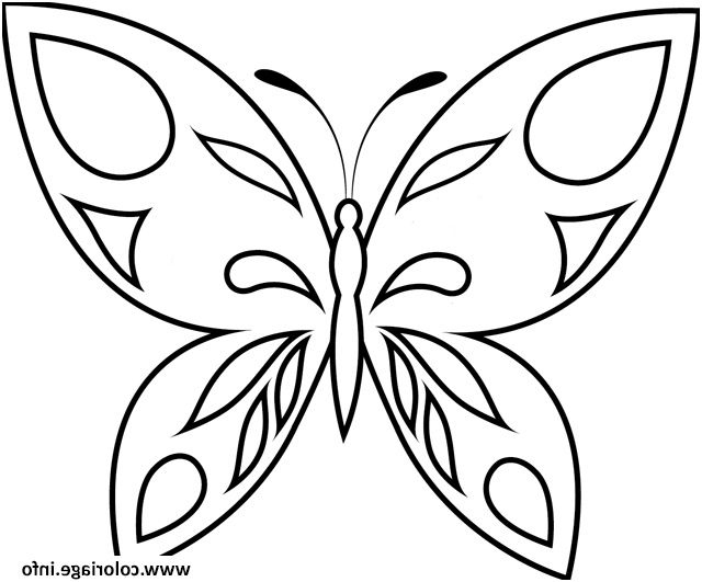 8 Lunatique Coloriage Papillon Maternelle Photograph encequiconcerne Dessin De Petit Papillon 