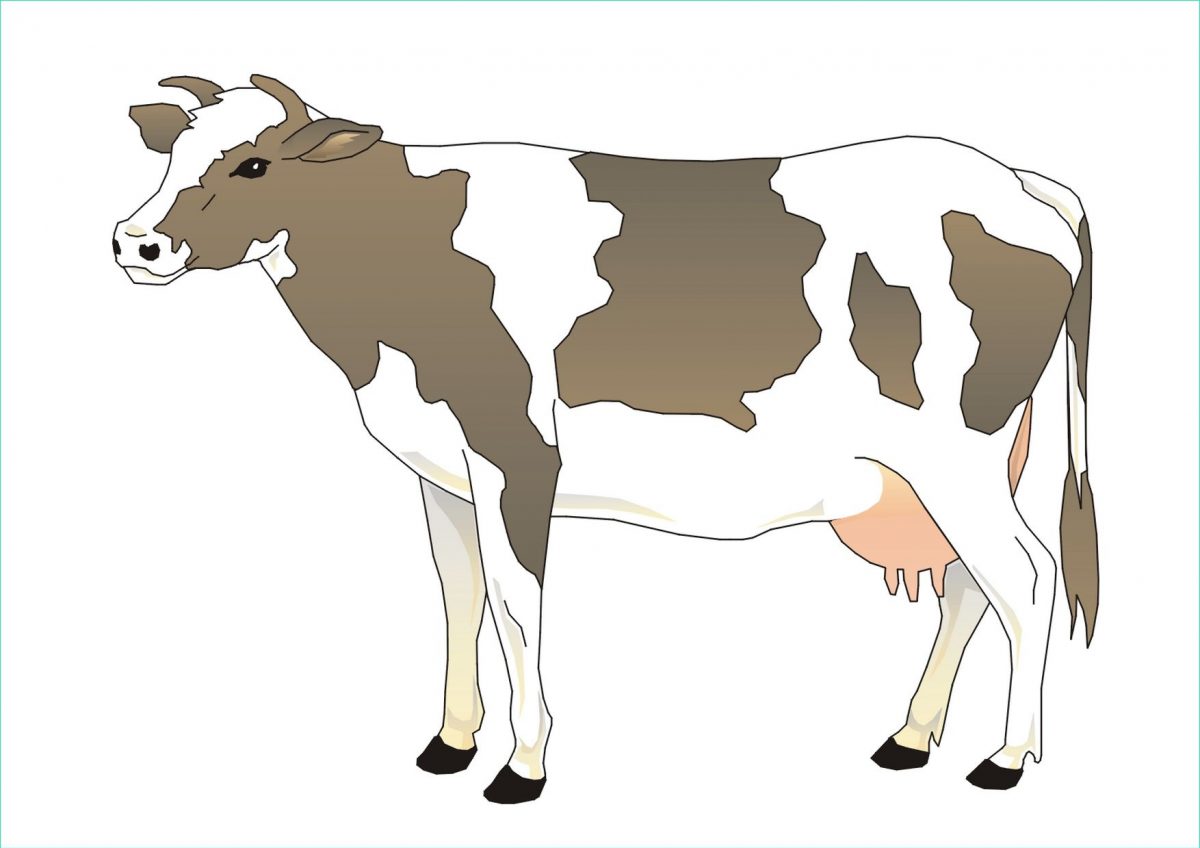 9 Cool De Dessin Vache Simple Stock - Coloriage : Coloriage pour Tete De Vache A Imprimer