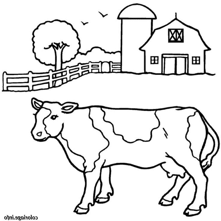 9 Cool De Dessin Vaches Photos  Coloriage, Coloriage concernant Dessin De La Ferme 