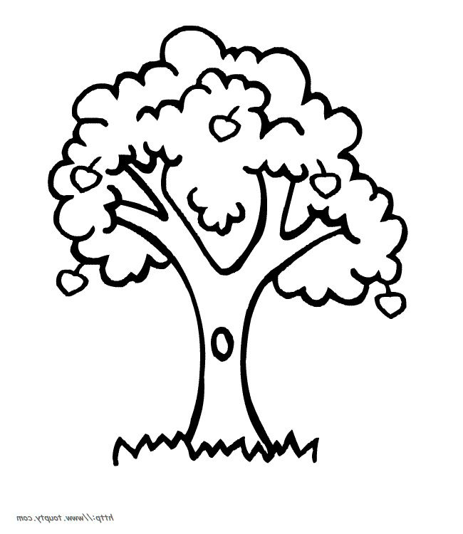 9 Décent Arbre Coloriage Collection En 2020  Coloriage tout Arbre Printemps Dessin 