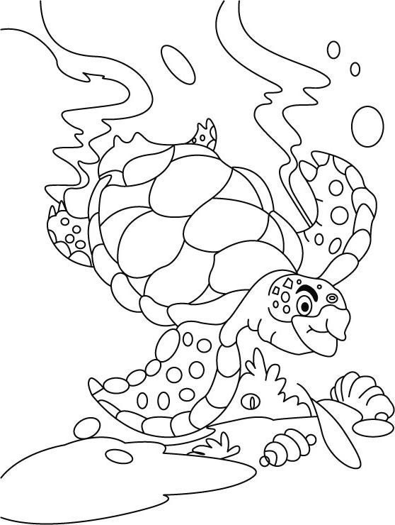 98 Dessins De Coloriage Escargot Hugo L&amp;#039;Escargot À Imprimer destiné Coloriage Hugo L Escargot À Imprimer 