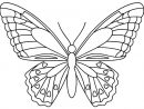98 Dessins De Coloriage Papillon Difficile À Imprimer encequiconcerne Image Papillon À Imprimer