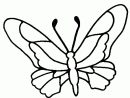 99 Dessins De Coloriage Papillon Simple À Imprimer avec Coloriage Papillon Simple