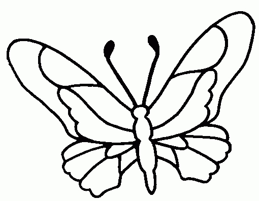 99 Dessins De Coloriage Papillon Simple À Imprimer avec Coloriage Papillon Simple 