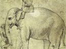 A Pope And An Elephant pour Anatomie Des Ã©Lephants