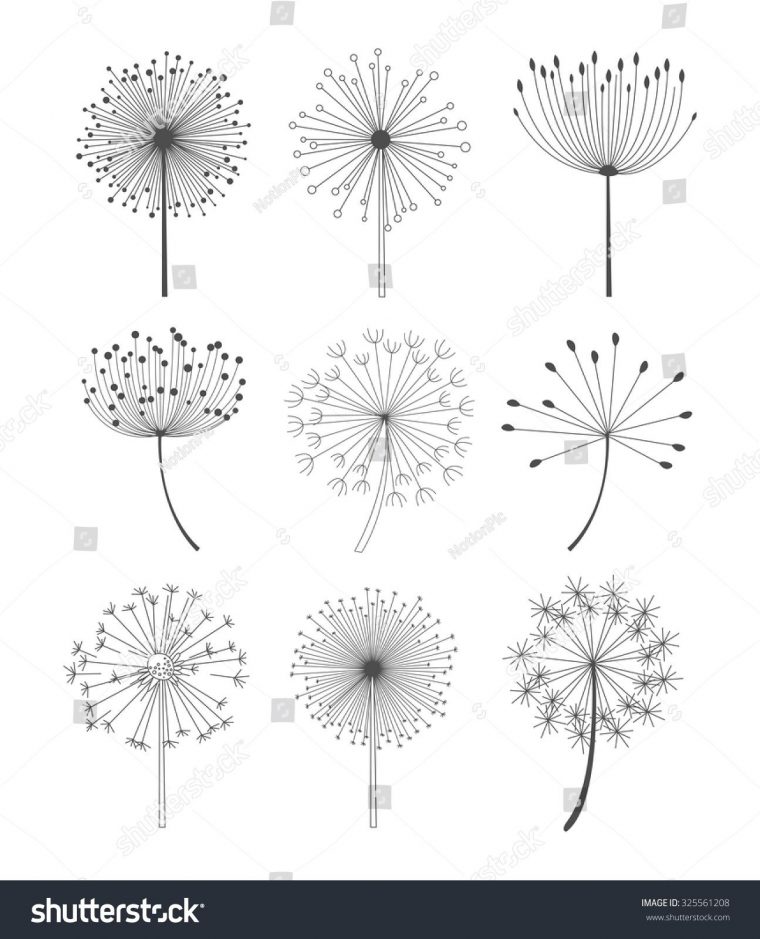 Abstract Dandelions Set Linear Style Monochrome Témájú encequiconcerne Pissenlit Dessin