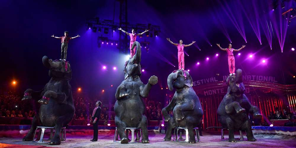 Accusé D'Être Démodé Et Cruel Avec Les Animaux, Le Cirque concernant Cirque Animaux
