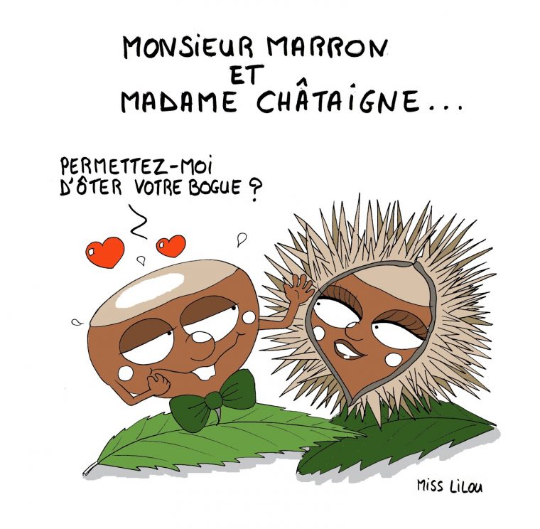 Acturatons: Monsieur Marron Et Madame Châtaigne… à Chataigne Dessin