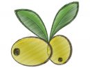 Aliment Biologique De Dessin De Deux Feuilles D'Olive intérieur Dessin Olives