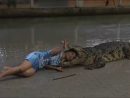 Alligators Attacks Caught On Tape Alligator Attak Videos pour Catch Attak