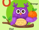 Alphabet Des Animaux Illustration Isolé Lettre O-Owl avec Alphabet Des Animaux