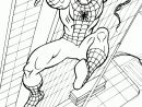 Amazing Spiderman Coloring Pages - Coloring Home avec Coloriage Spidermann