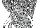 Anima Gros Elephant - Eléphants - Coloriages Difficiles encequiconcerne Image Éléphant À Colorier