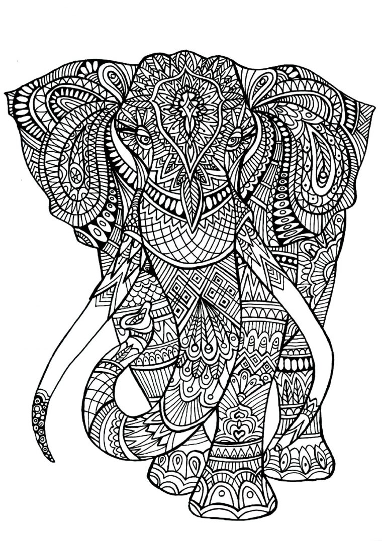 Anima Gros Elephant – Eléphants – Coloriages Difficiles encequiconcerne Image Éléphant À Colorier