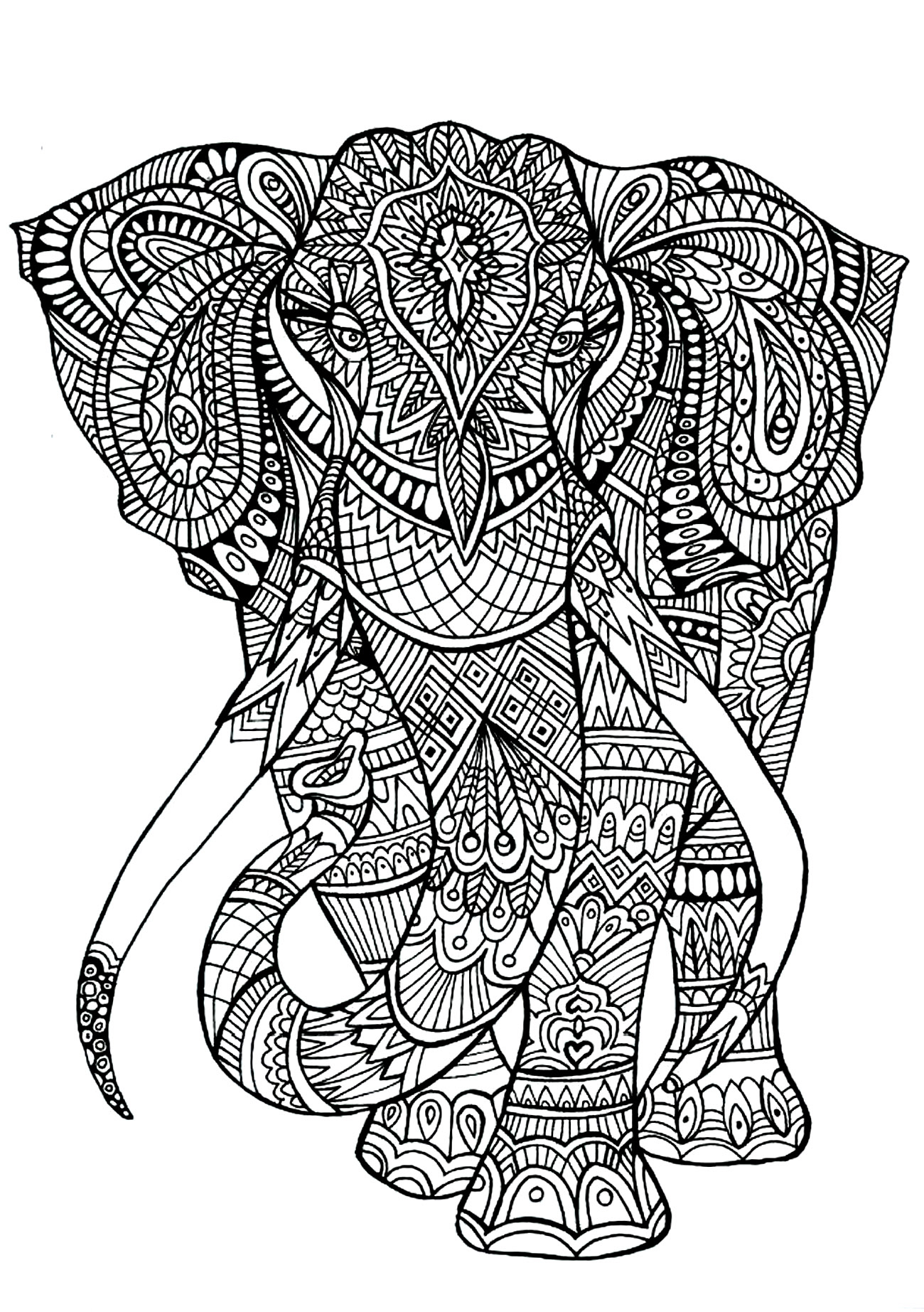 Anima Gros Elephant - Eléphants - Coloriages Difficiles encequiconcerne Image Éléphant À Colorier 