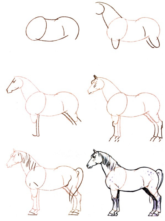 Animal Drawings, Horse Drawings, Horse Drawing avec Dessin Facile De Cheval 